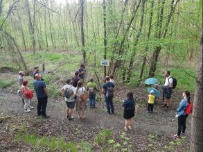 Asental podpořil jednu z Pestrých stezek na Haldě Michálka