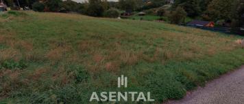 Snímek obrazovky 2025-12-04 151357