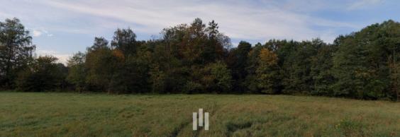 Prodej pozemků, 4 096 m²  Poruba u Orlové