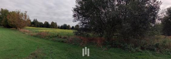 Prodej pozemků v podílovém spoluvlastnictví o celkové vlastní výměře 1 072 m² v k.ú. Orlová