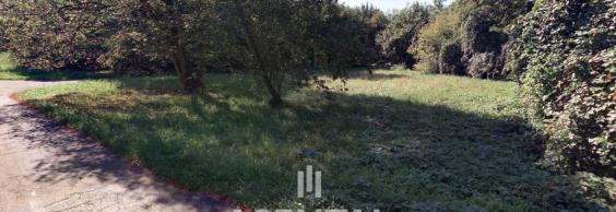 Prodej pozemků, 12 371 m² - Radvanice